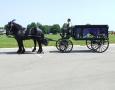 http://www.willowwindcarriagelimo.com/sites/default/files/imagecache/lightbox_full/eaton%20parade%20hearse.jpg