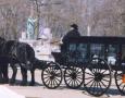 http://www.willowwindcarriagelimo.com/sites/default/files/imagecache/lightbox_full/hearse%20side%20and%20back%20%281%29.JPG