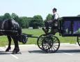 http://www.willowwindcarriagelimo.com/sites/default/files/imagecache/lightbox_full/hearse%20with%20black%20team.JPG