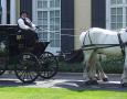 http://www.willowwindcarriagelimo.com/sites/default/files/imagecache/lightbox_full/hearse%20with%20cherry%20cindy%20side.jpg