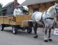 http://www.willowwindcarriagelimo.com/sites/default/files/imagecache/lightbox_full/max%20at%20gingerbread%20festival%202011.jpg