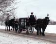 http://www.willowwindcarriagelimo.com/sites/default/files/imagecache/lightbox_full/new%20mad%20with%20riderless.JPG