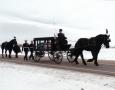 http://www.willowwindcarriagelimo.com/sites/default/files/imagecache/lightbox_full/new%20madison%20with%20riderless%202.JPG